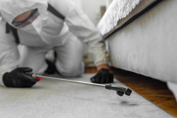 Professional Mosquito Control technician working in Pace, FL