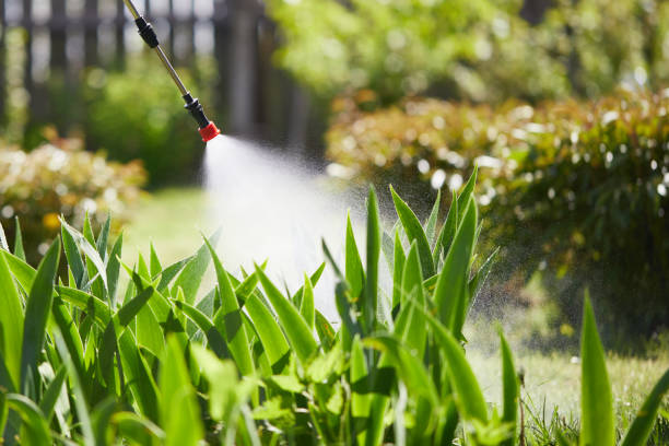 24/7 Emergency Mosquito Control experts in Pace, FL